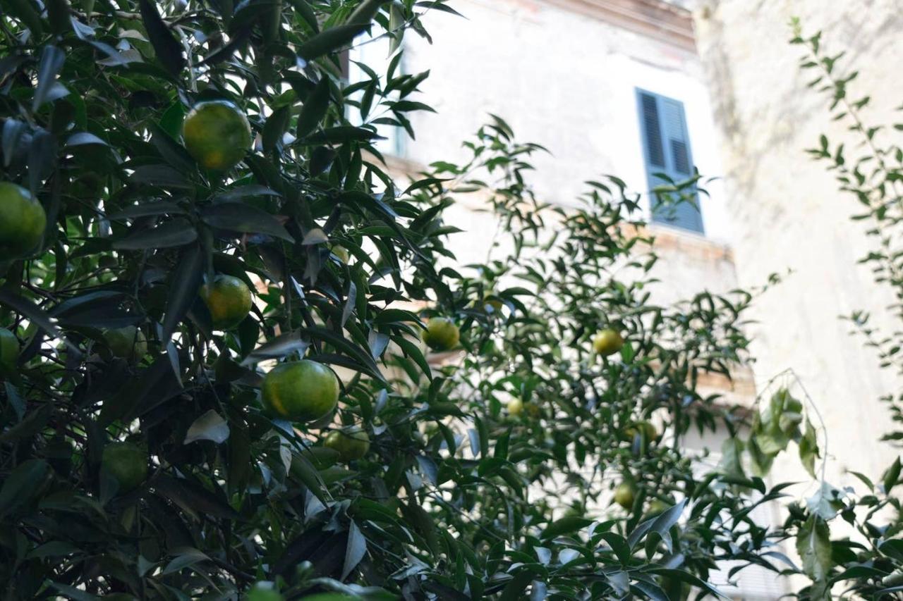 דירות נאפולי Giardino D'Atri מראה חיצוני תמונה